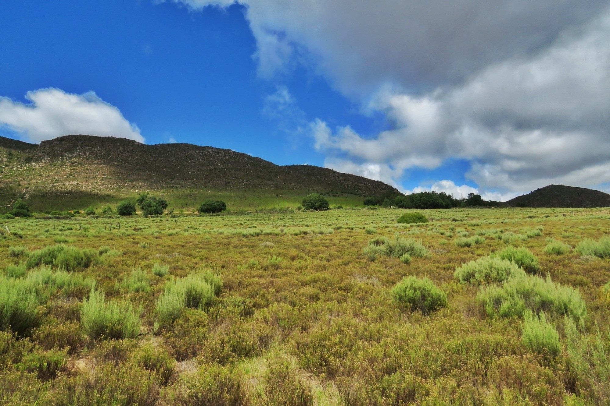 3 Bedroom Property for Sale in Uniondale Rural Western Cape